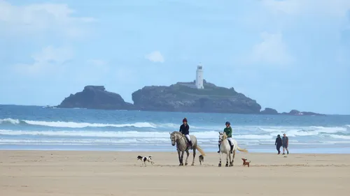 Godrevy Horses This landscape photograph captures a summer morning scene on Gwithian beach in Cornwall, England, United Kingdom. The main subjects, known as the Godrevy Horses, are shown being ridden along the sandy shore accompanied by several dogs and people. In the background stands the prominent landmark of Godrevy Island with its distinctive lighthouse rising above the rocky outcrop. The beach setting features gentle ocean waves and a wide stretch of sand, exemplifying the coastal environment of Cornwall. Animals, specifically horses and dogs, interact with people, reflecting typical recreational activities at the beach during this season.